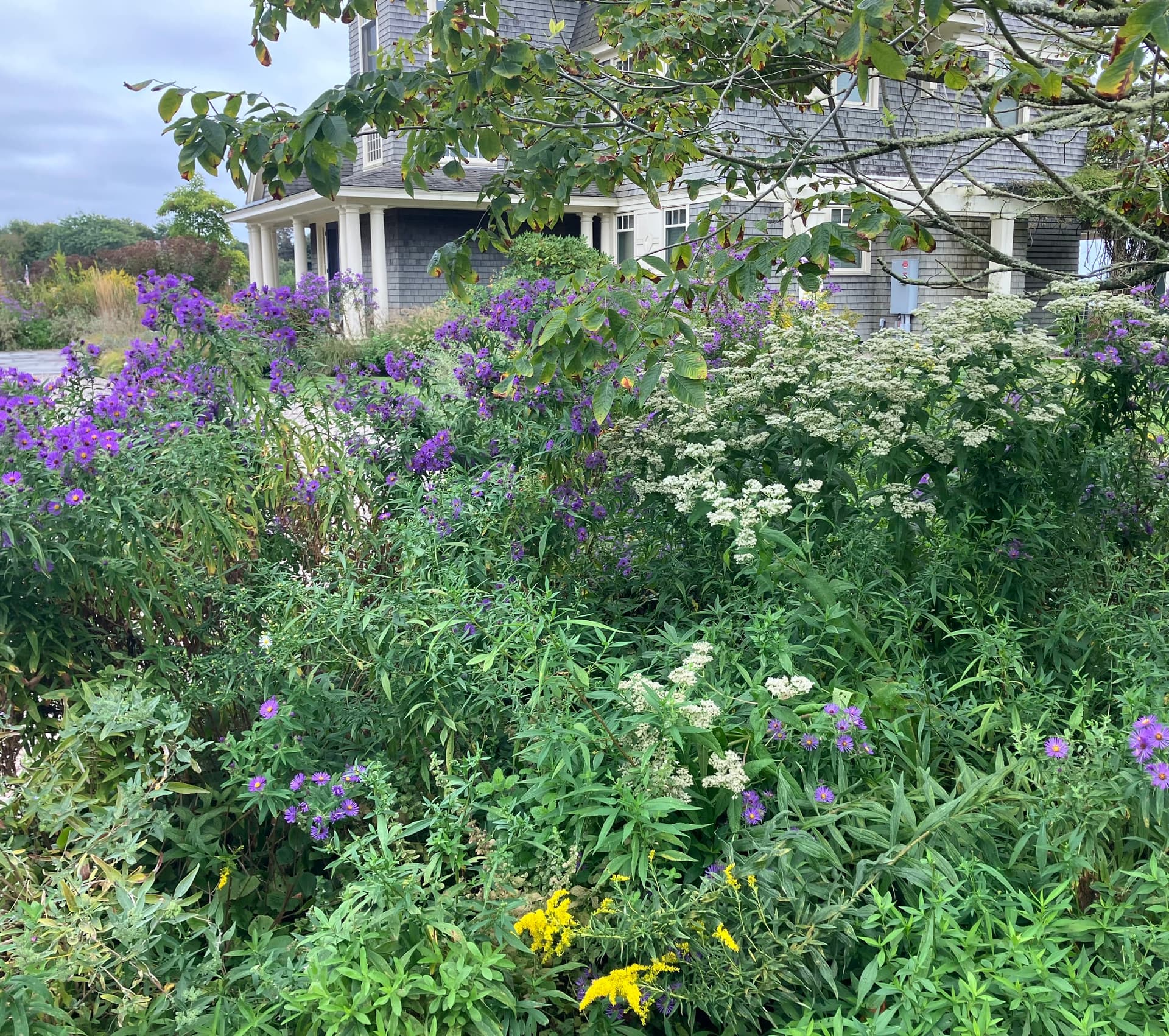 Native Landscapes