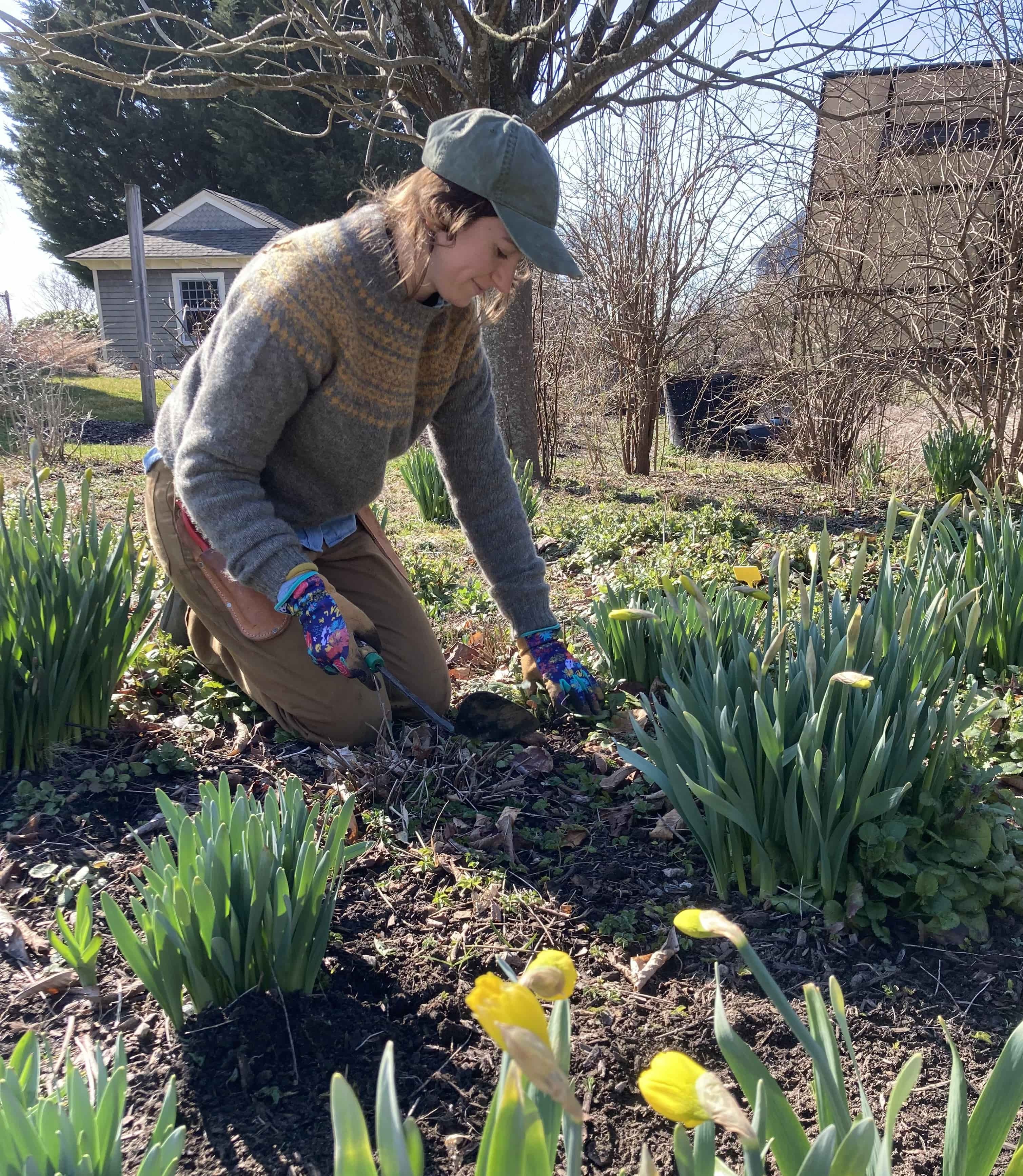 Katie Working