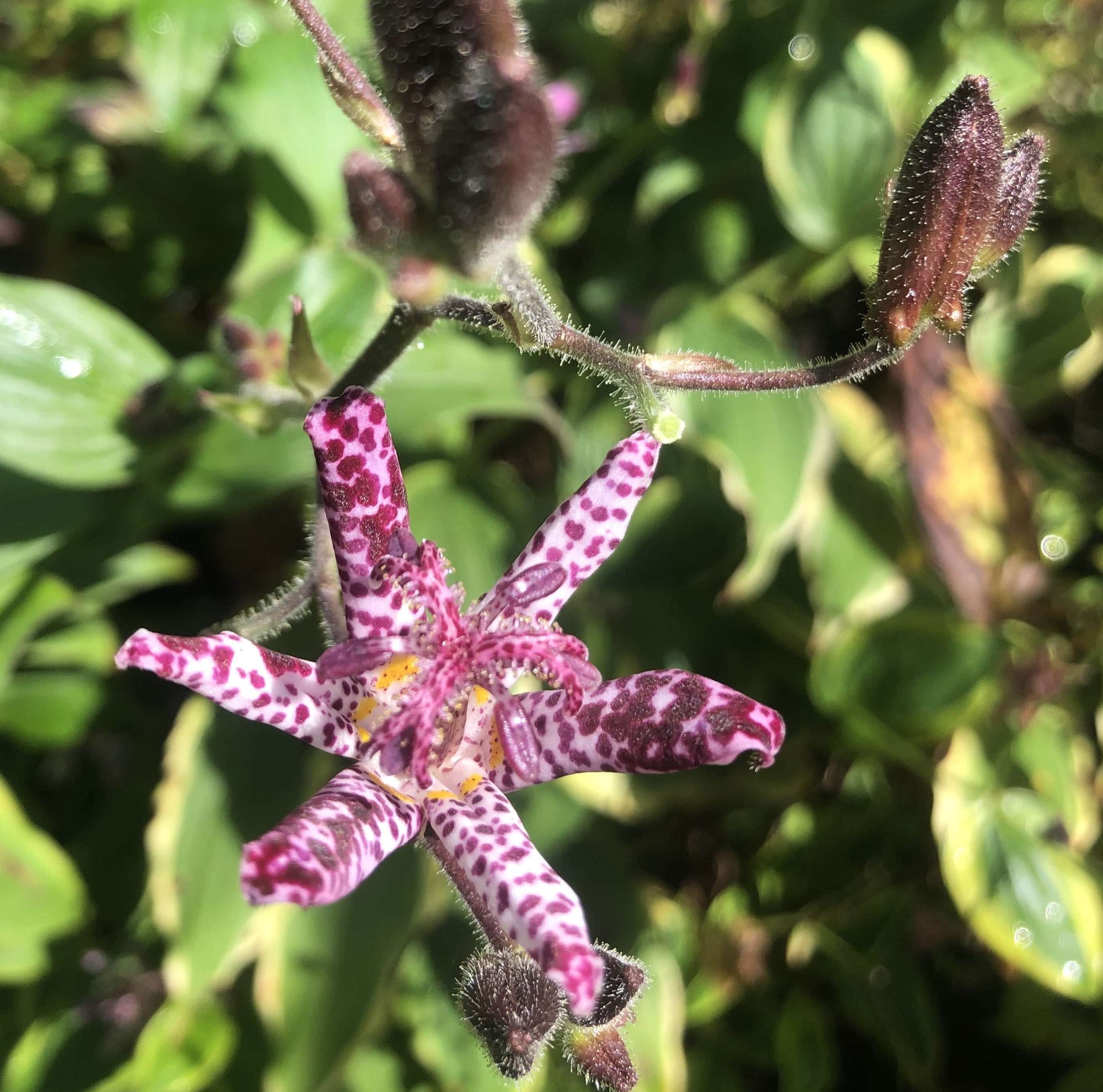 Design & Installation