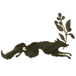 Wolf Logo